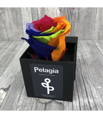 Τριαντάφυλλο forever πολύχρωμο