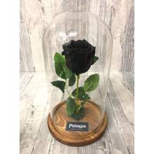 Black forever rose glass
