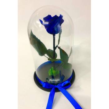 Blue forever rose glass