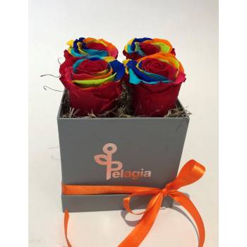 Forever Rose multicolor  in a box 4 pieces